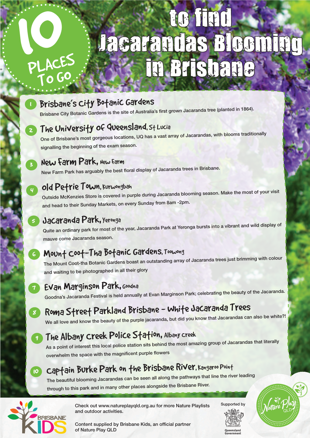 To F Nd Jacarandas Blooming in Brisbane I