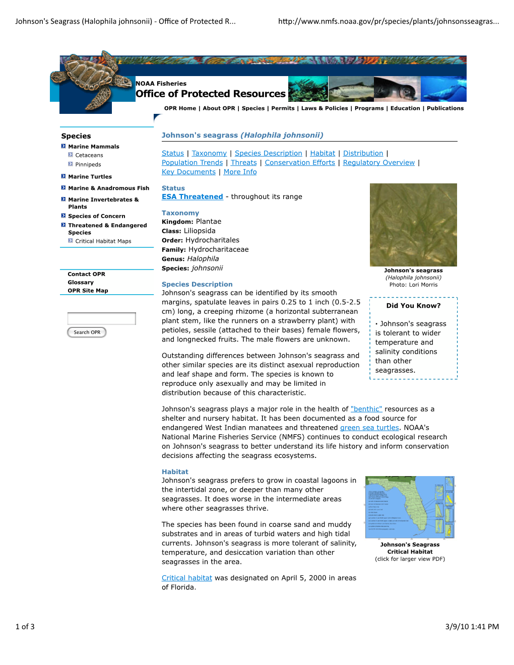 NOAA 2010 Johnsons Seagrass Weblink, TN180
