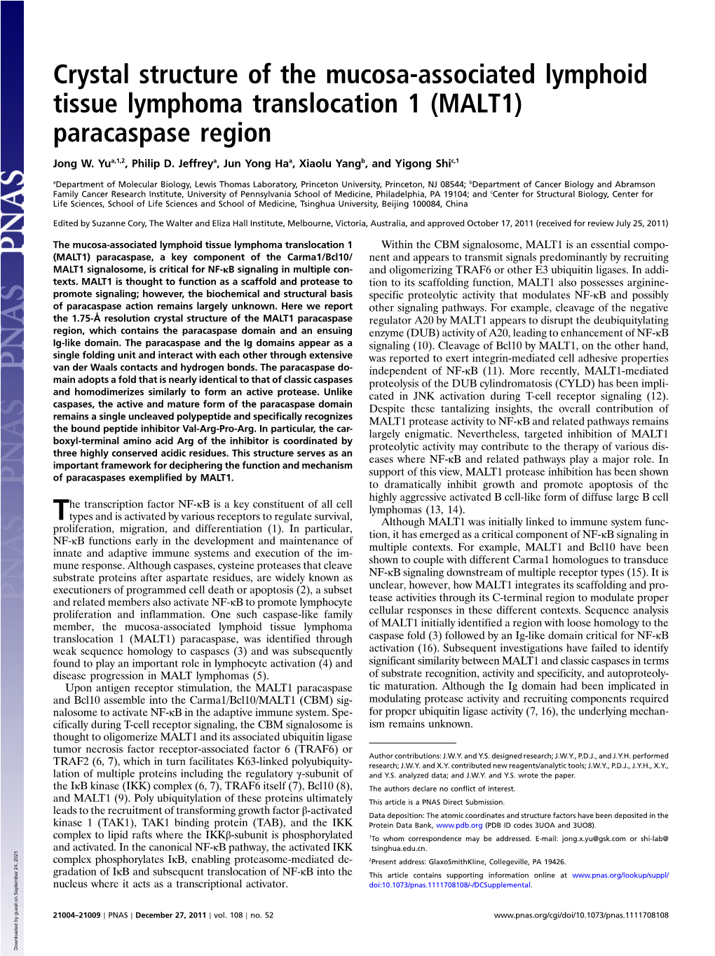 (MALT1) Paracaspase Region