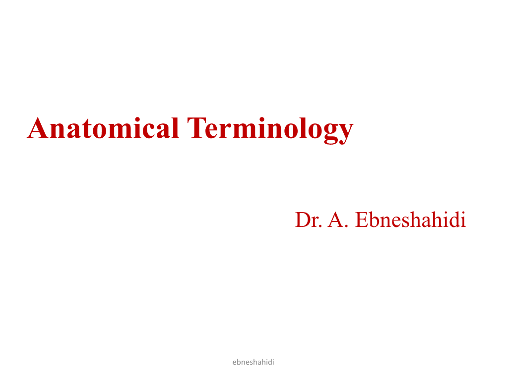 Anatomical Terminology