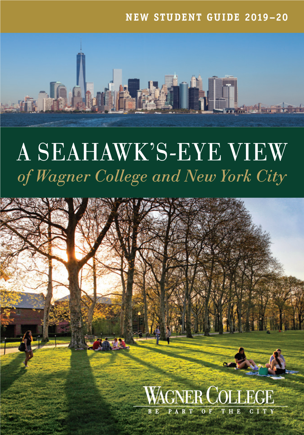 A Seahawk's-Eye View