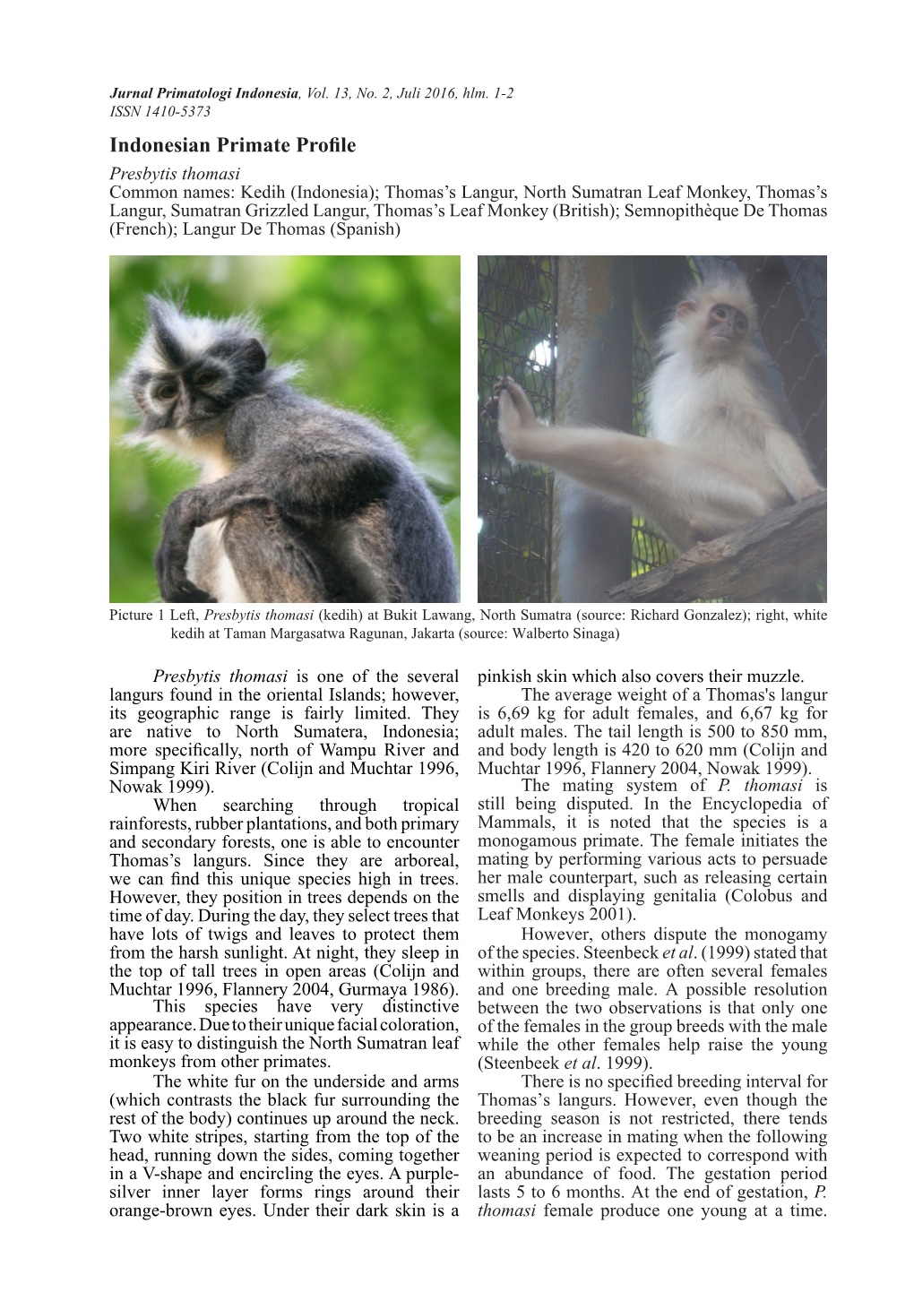 Indonesian Primate Profile