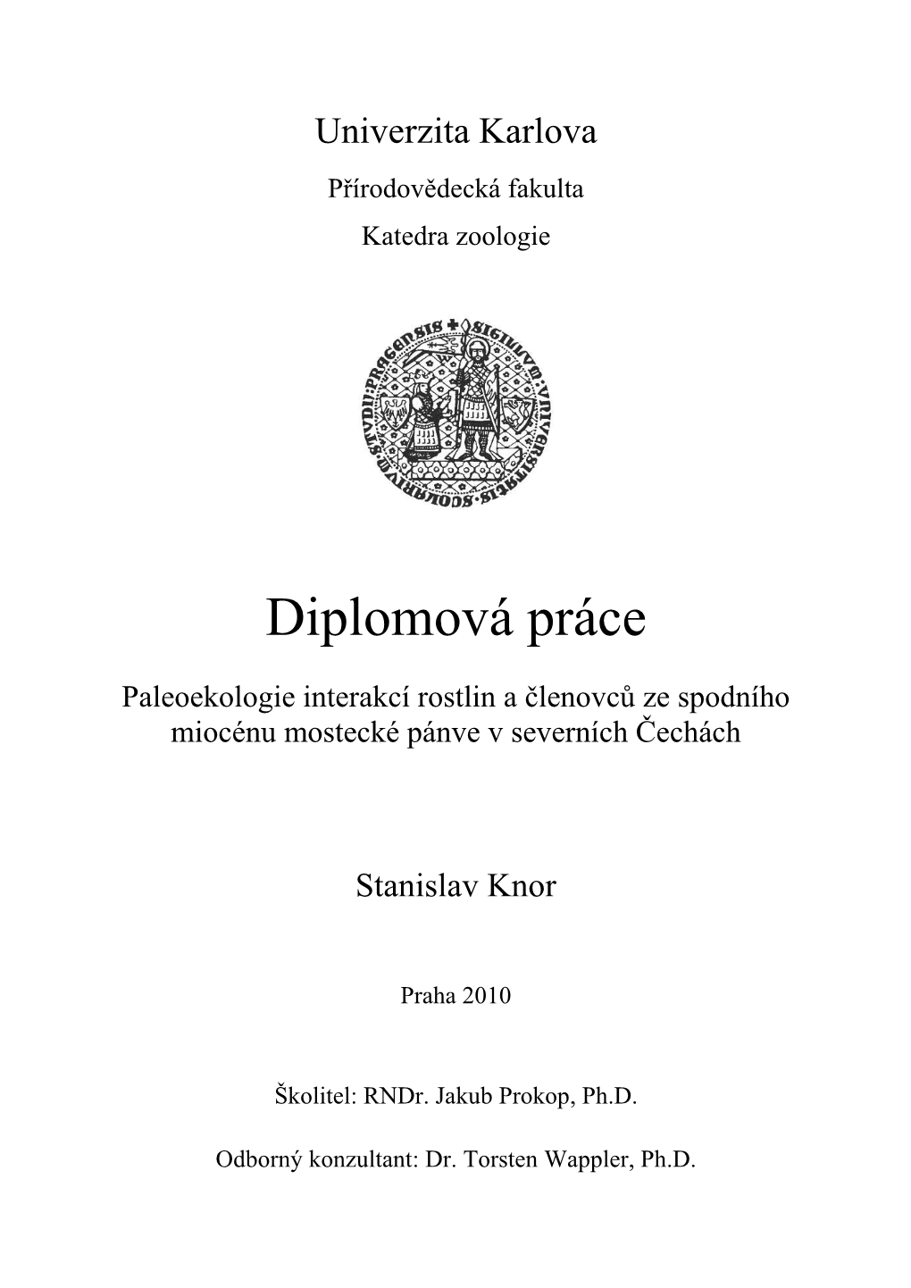 Diplomová Práce