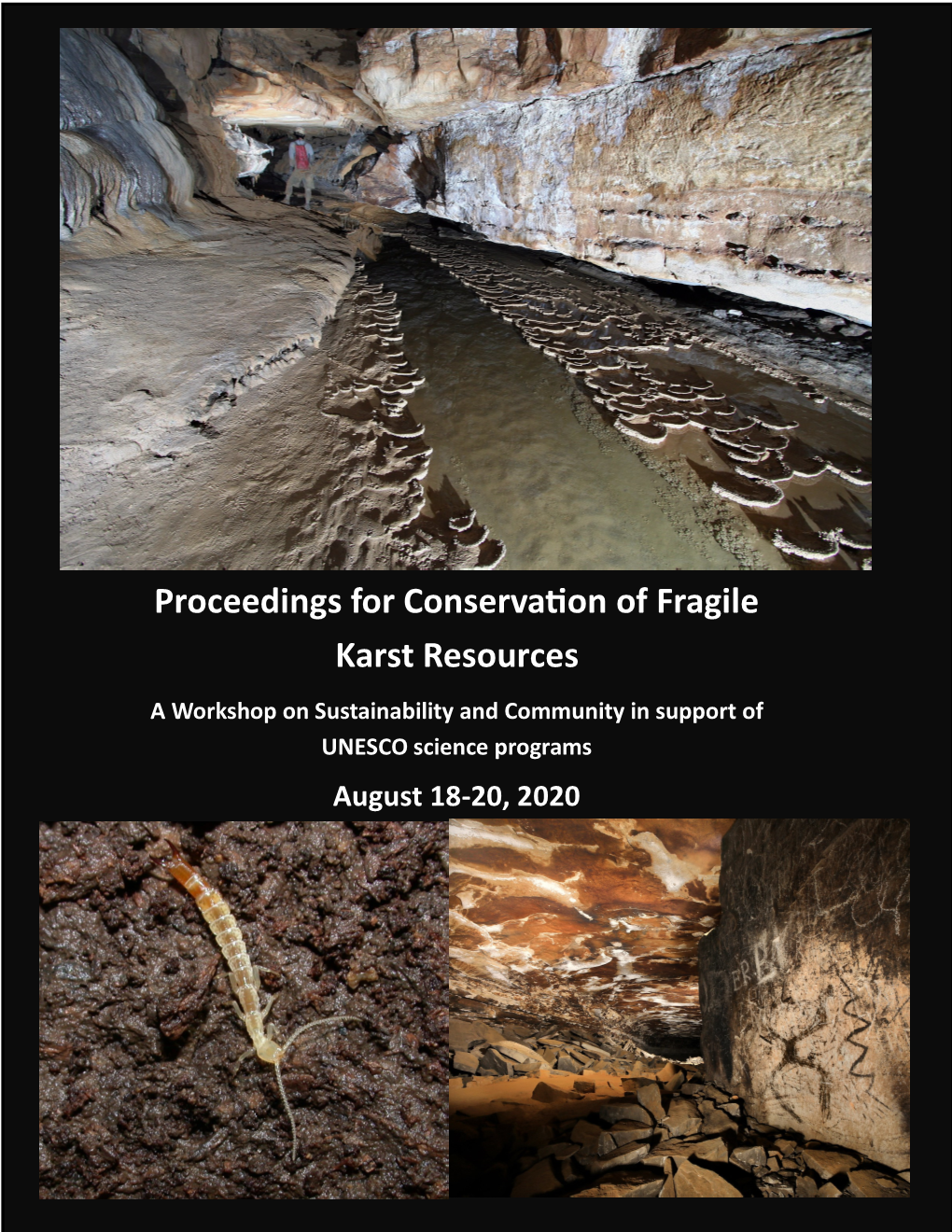 Proceedings for Conservation of Fragile Karst Resources a Workshop on Sustainability and Community in Support of UNESCO Science Programs August 18-20, 2020