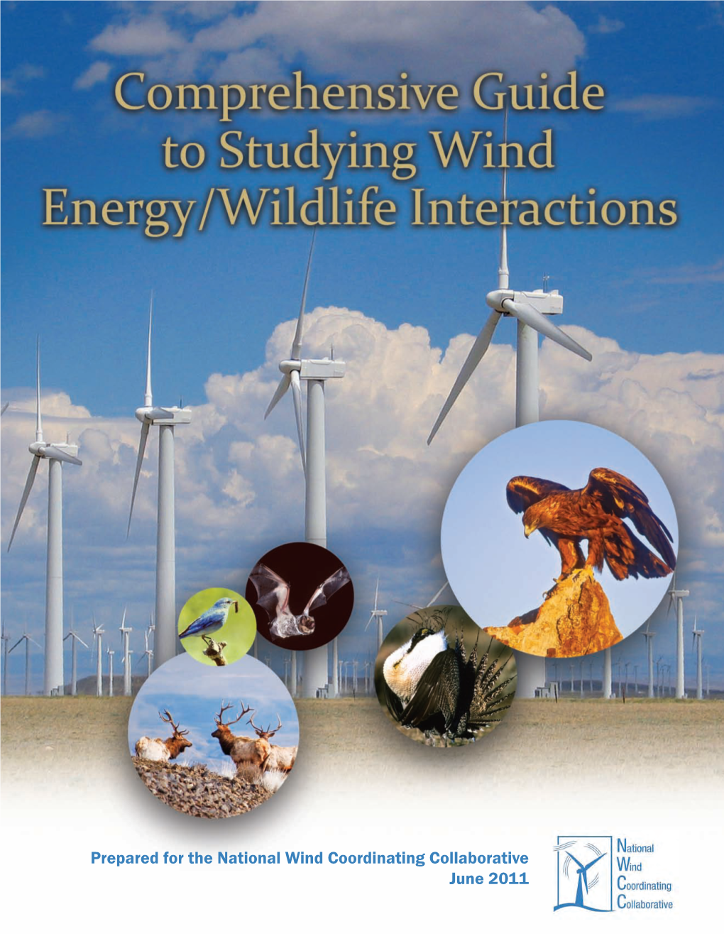 Comprehensive Gude to Studying Wind Energy Wildlife Interactions