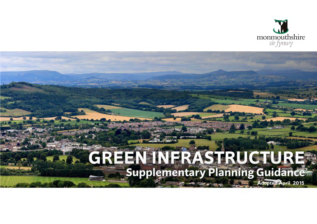 Green Infrastructure Vision for Monmouthshire