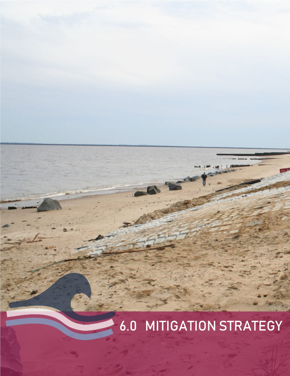 6.0 Mitigation Strategy