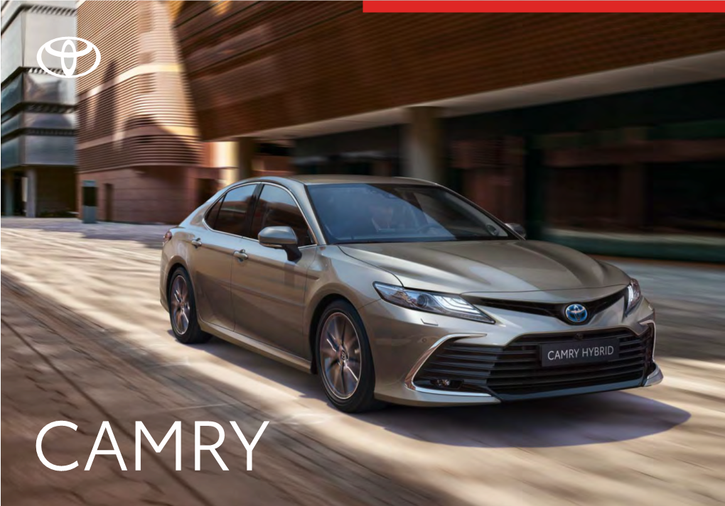 Camry Lead with Clarity