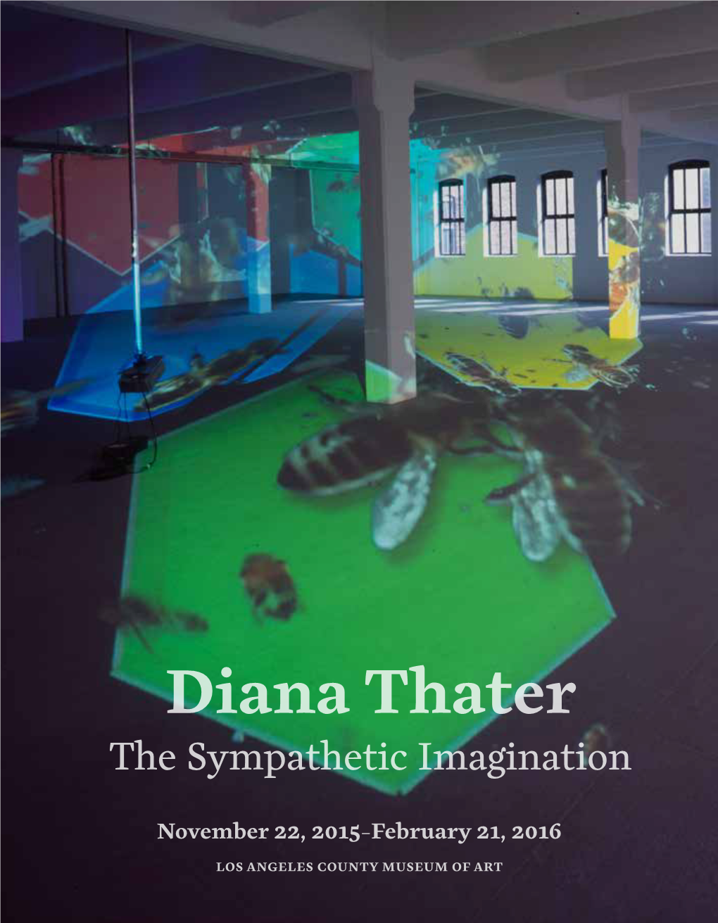 Diana Thater the Sympathetic Imagination