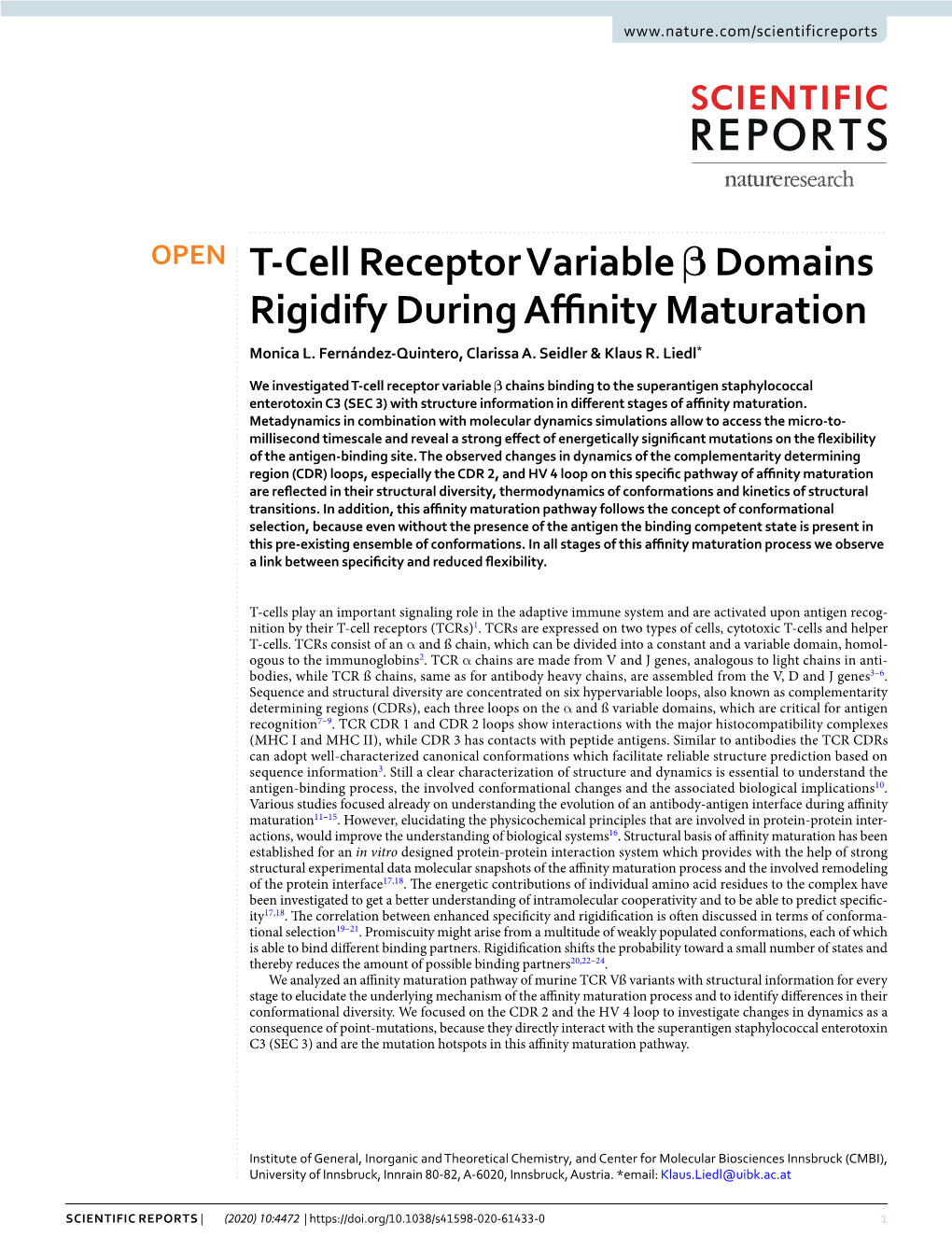 T-Cell Receptor Variable Β Domains Rigidify During Affinity Maturation