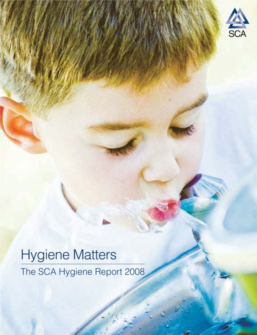 Hygiene Matters Report 2008 (Pdf)