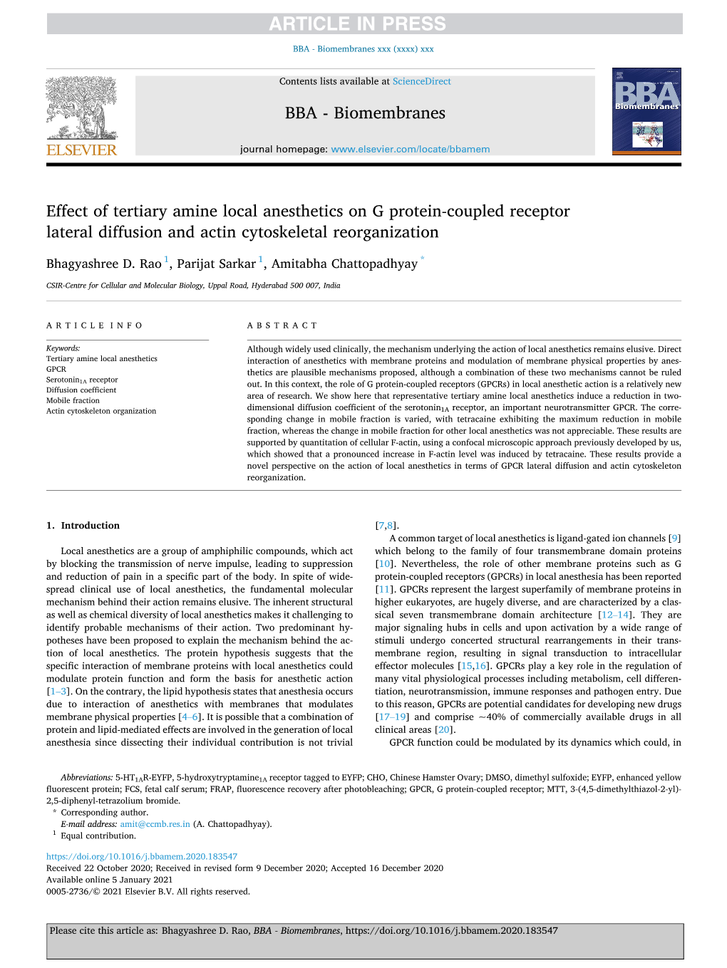 Effect of Tertiary Amine Local Anesthetics on G Protein-Coupled Receptor Lateral Diffusion and Actin Cytoskeletal Reorganization