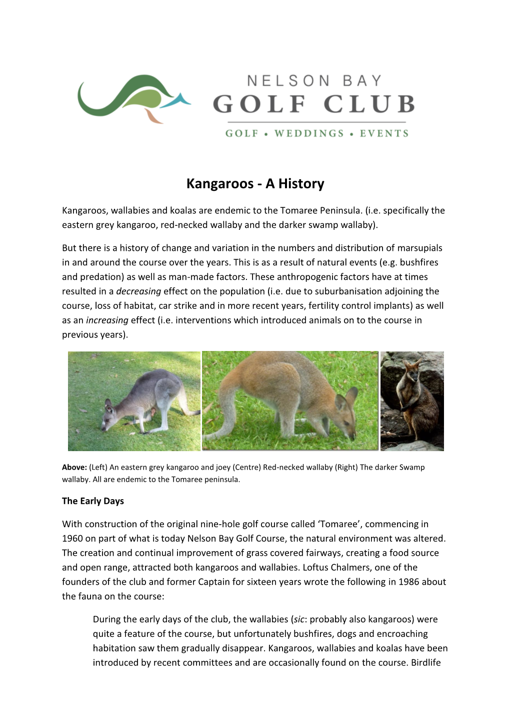 Kangaroos - a History