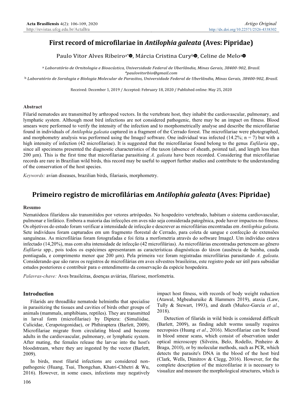 First Record of Microfilariae in Antilophia Galeata (Aves: Pipridae)