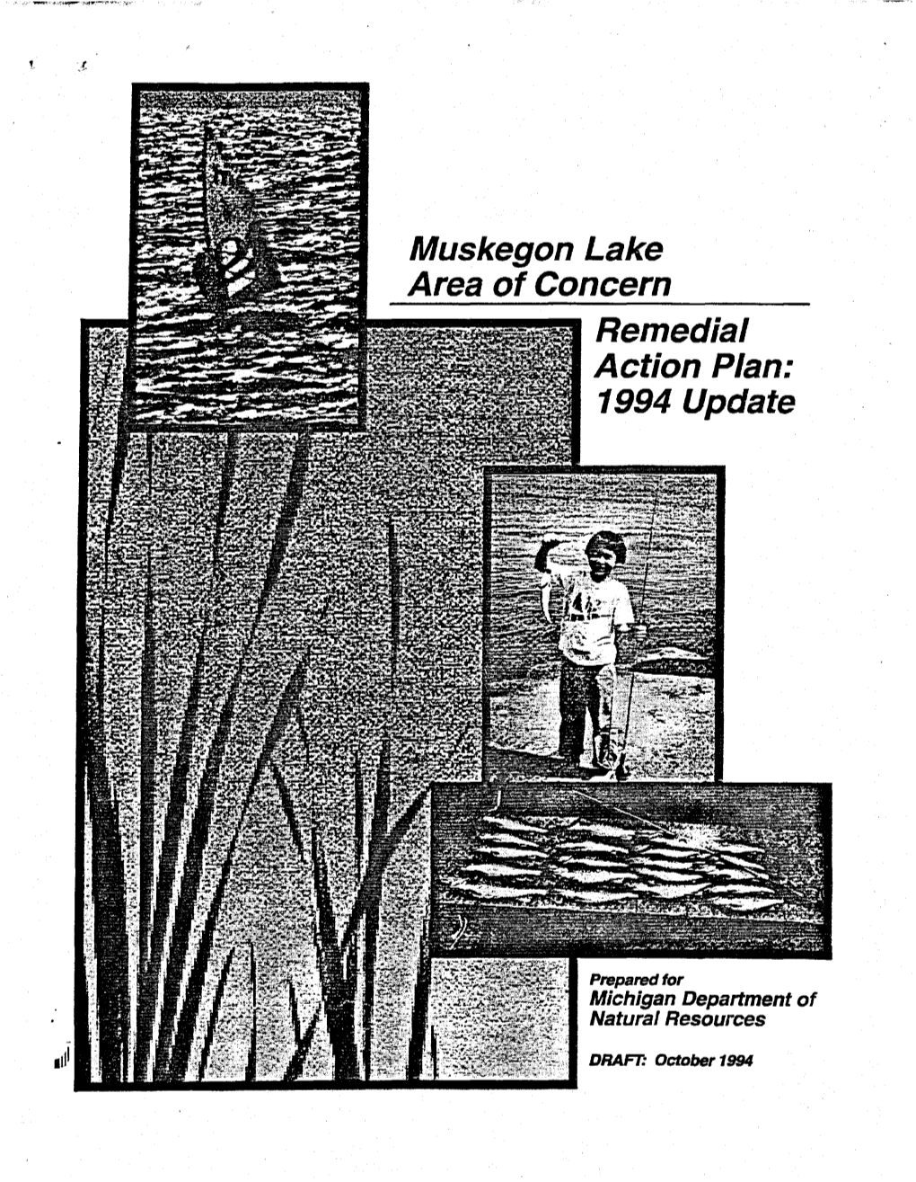 1994 Muskegon Lake RAP Update