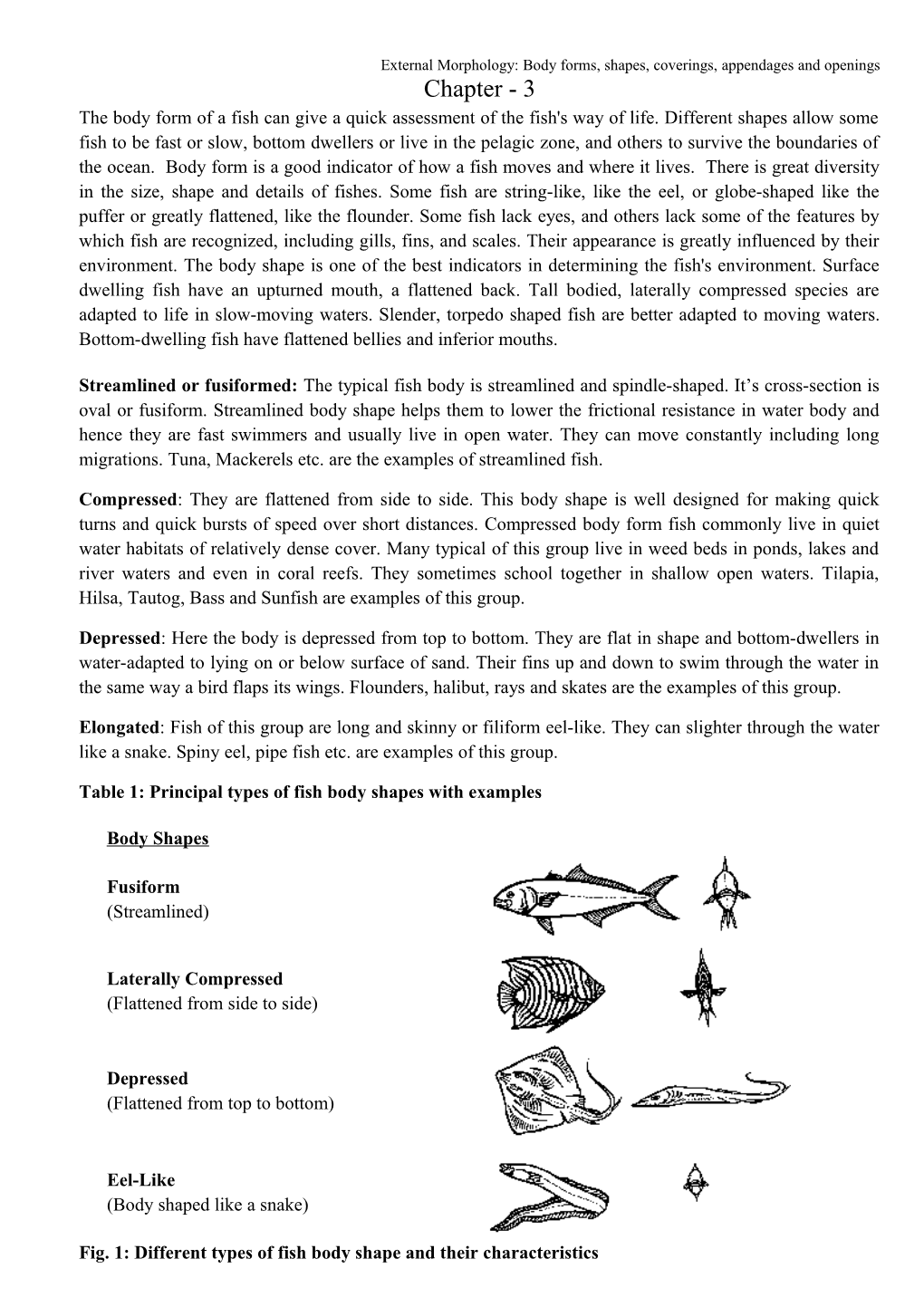 External Morphology: Body Forms, Shapes, Coverings, Appendages and Openings