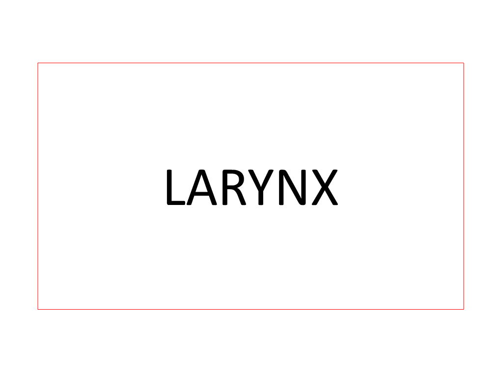 Larynx-Converted