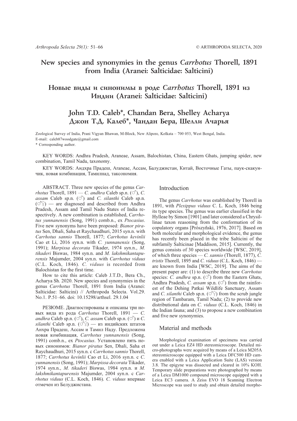 New Species and Synonymies in the Genus Carrhotus Thorell, 1891 from India (Aranei: Salticidae: Salticini)