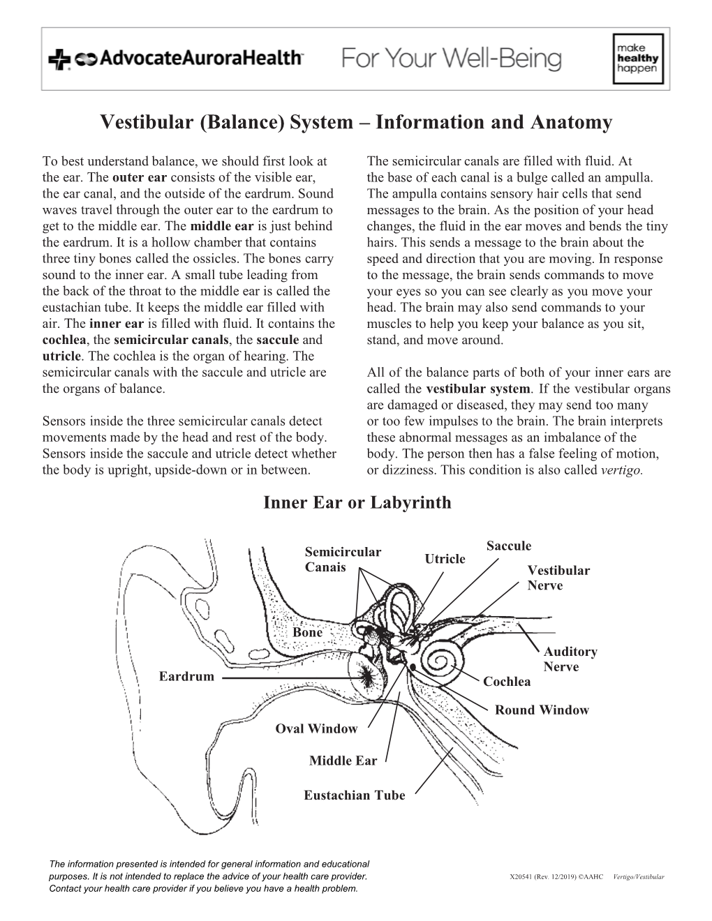 Vestibular (Balance) System – Information and Anatomy