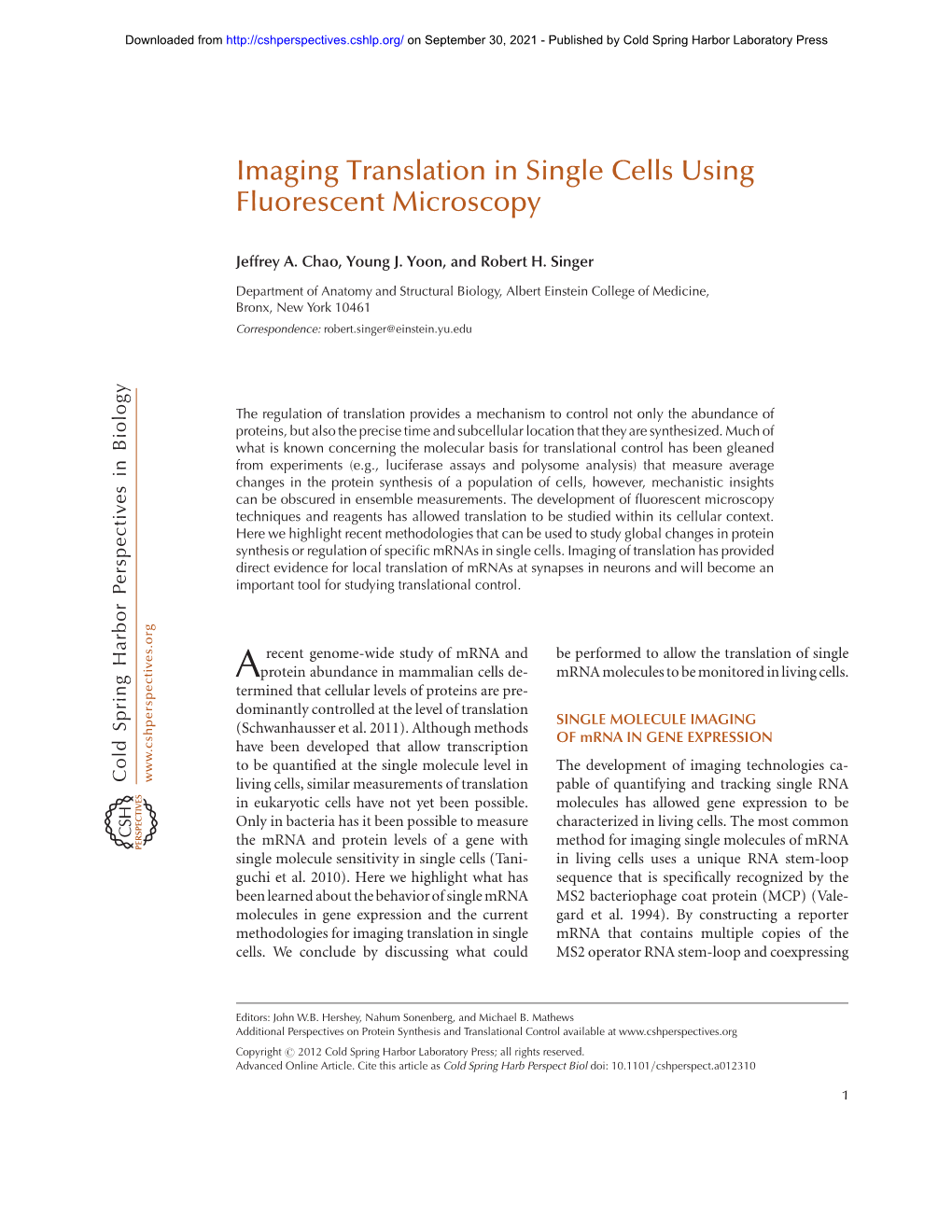 Imaging Translation in Single Cells Using Fluorescent Microscopy