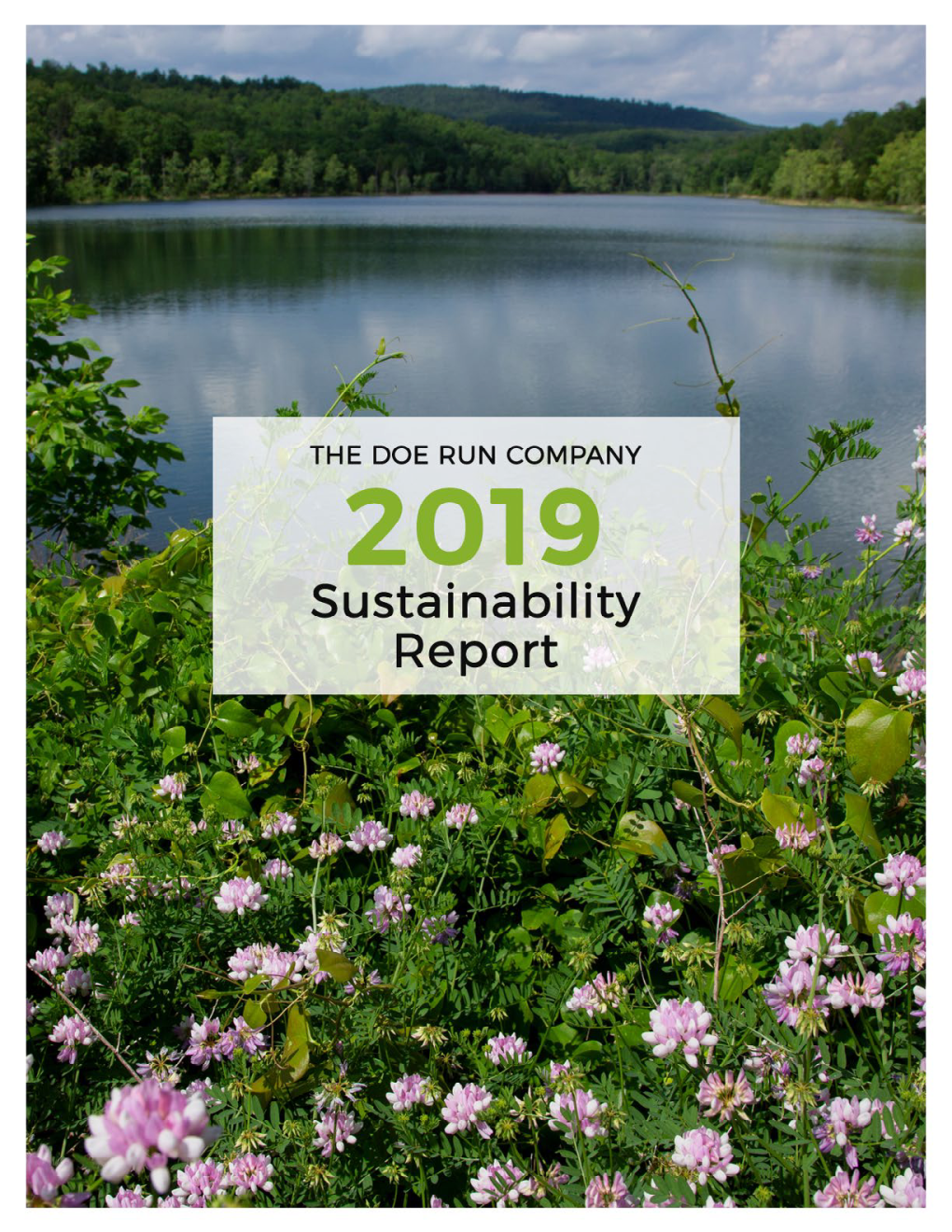 Sustainability Report 2019