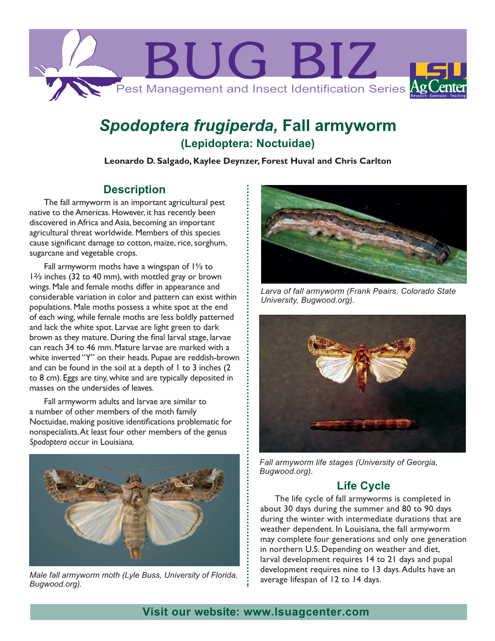 Spodoptera Frugiperda, Fall Armyworm (Lepidoptera: Noctuidae) Leonardo D