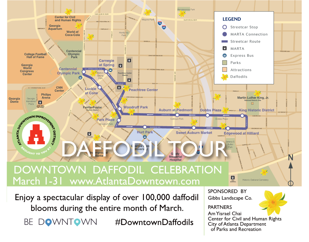 Daffodil Tour