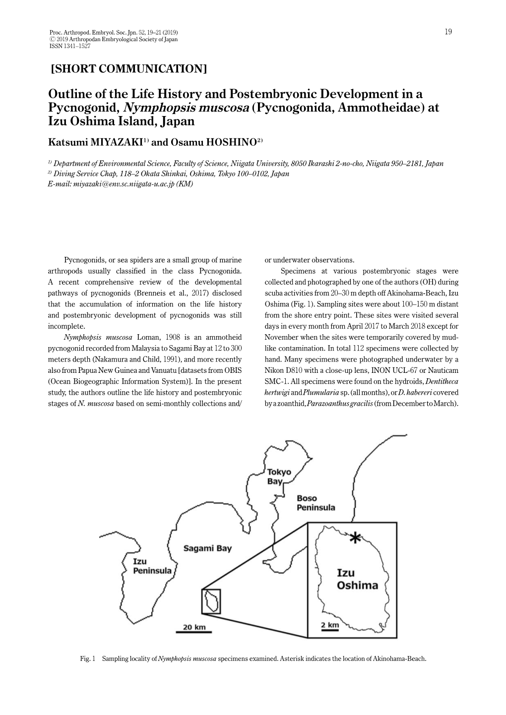 Outline of the Life History and Postembryonic Development in a Pycnogonid, Nymphopsis Muscosa (Pycnogonida, Ammotheidae) At