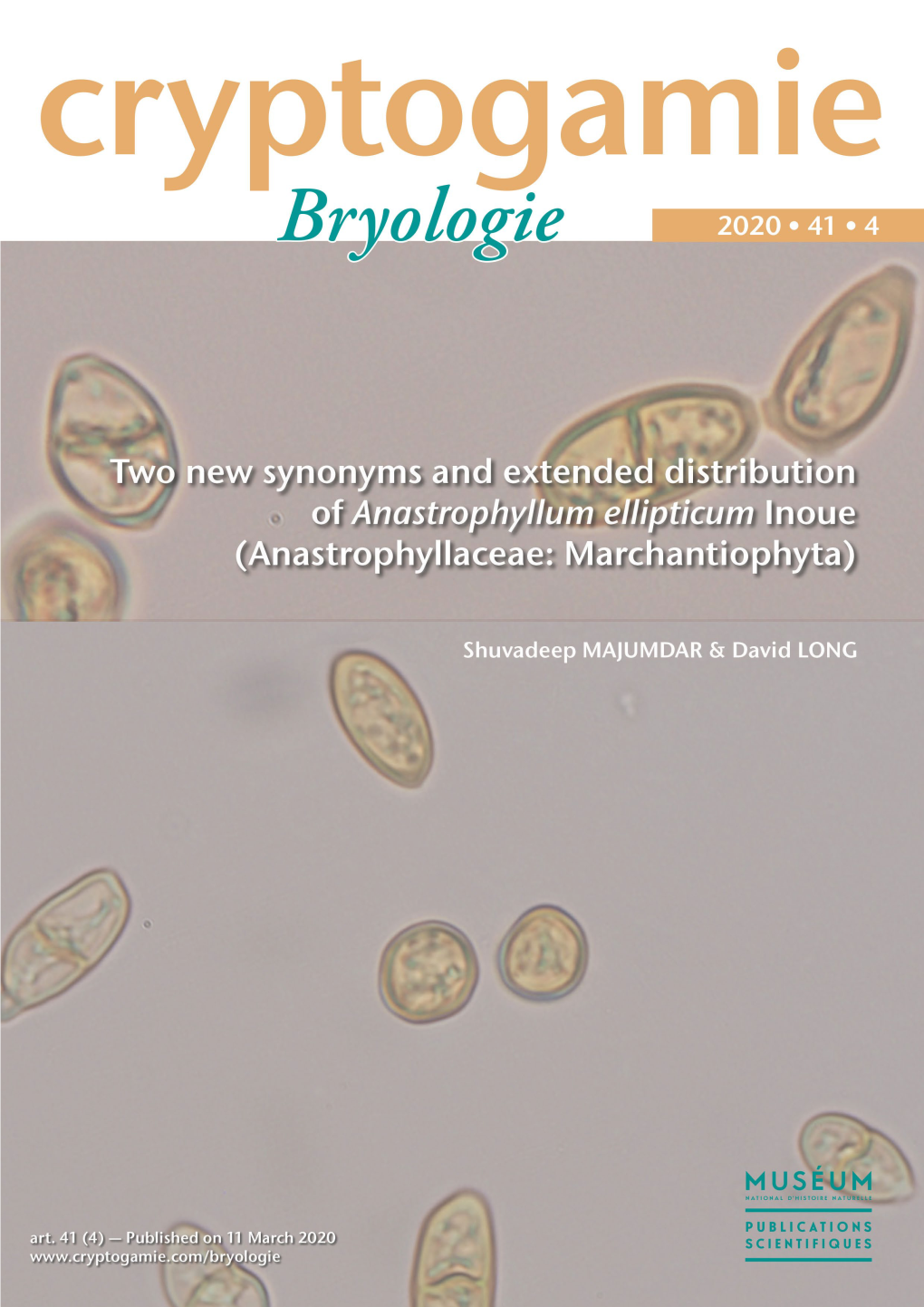 Two New Synonyms and Extended Distribution of Anastrophyllum Ellipticum Inoue (Anastrophyllaceae: Marchantiophyta)