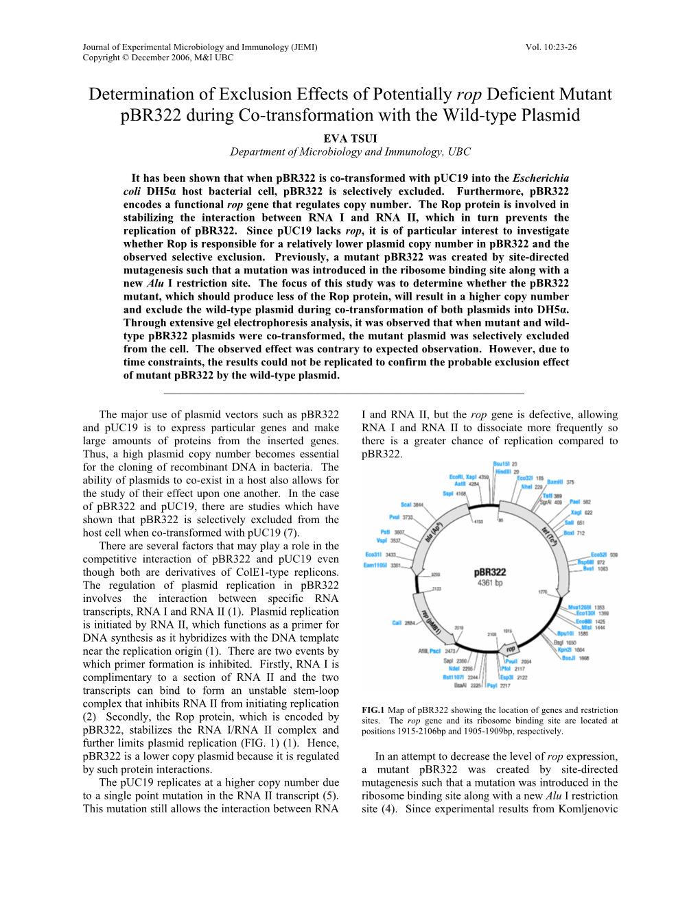 Rop Deficient Mutant Pbr322 During Co-Transformation with the Wild-Type Plasmid EVA TSUI Department of Microbiology and Immunology, UBC