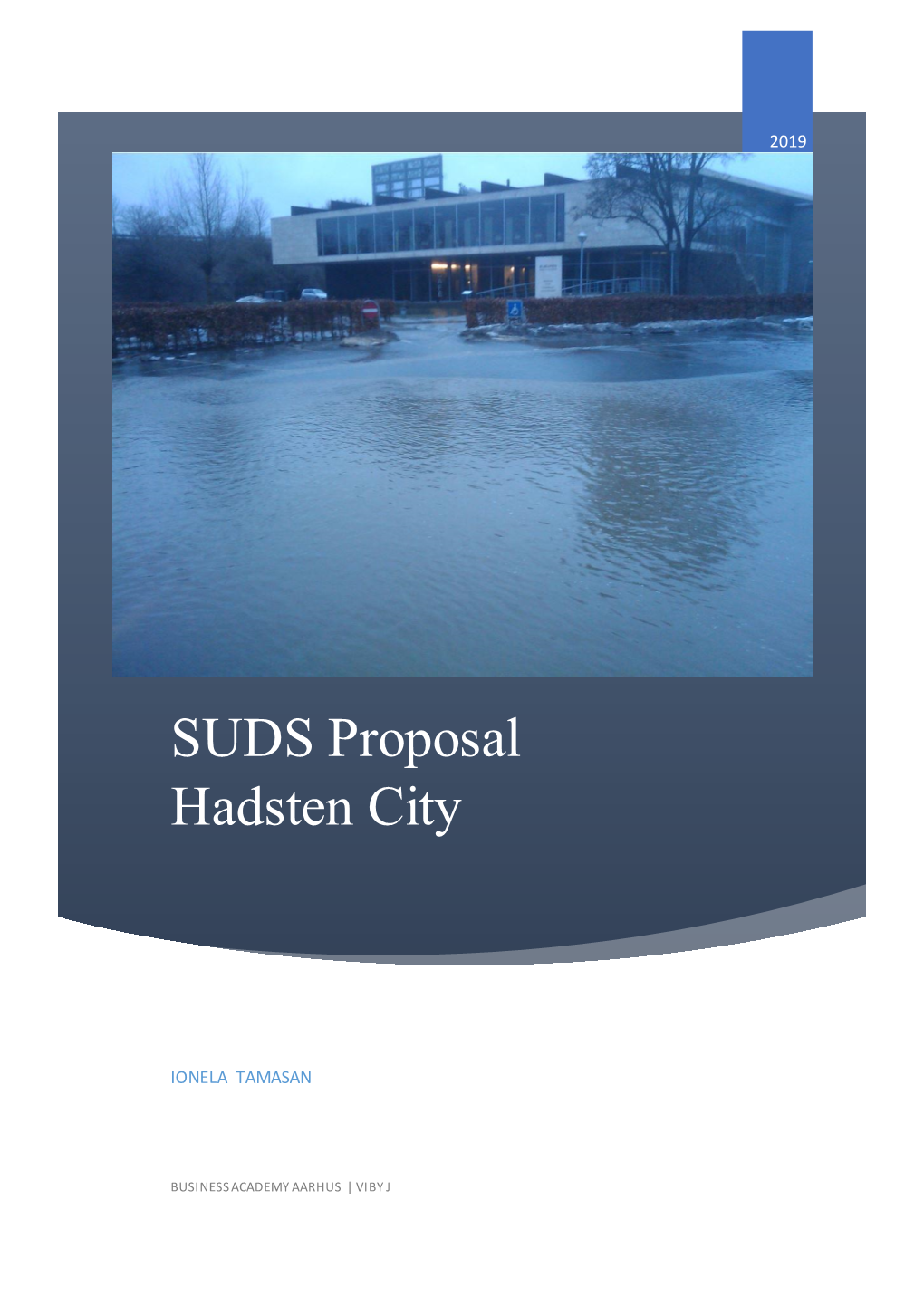 SUDS Proposal Hadsten City