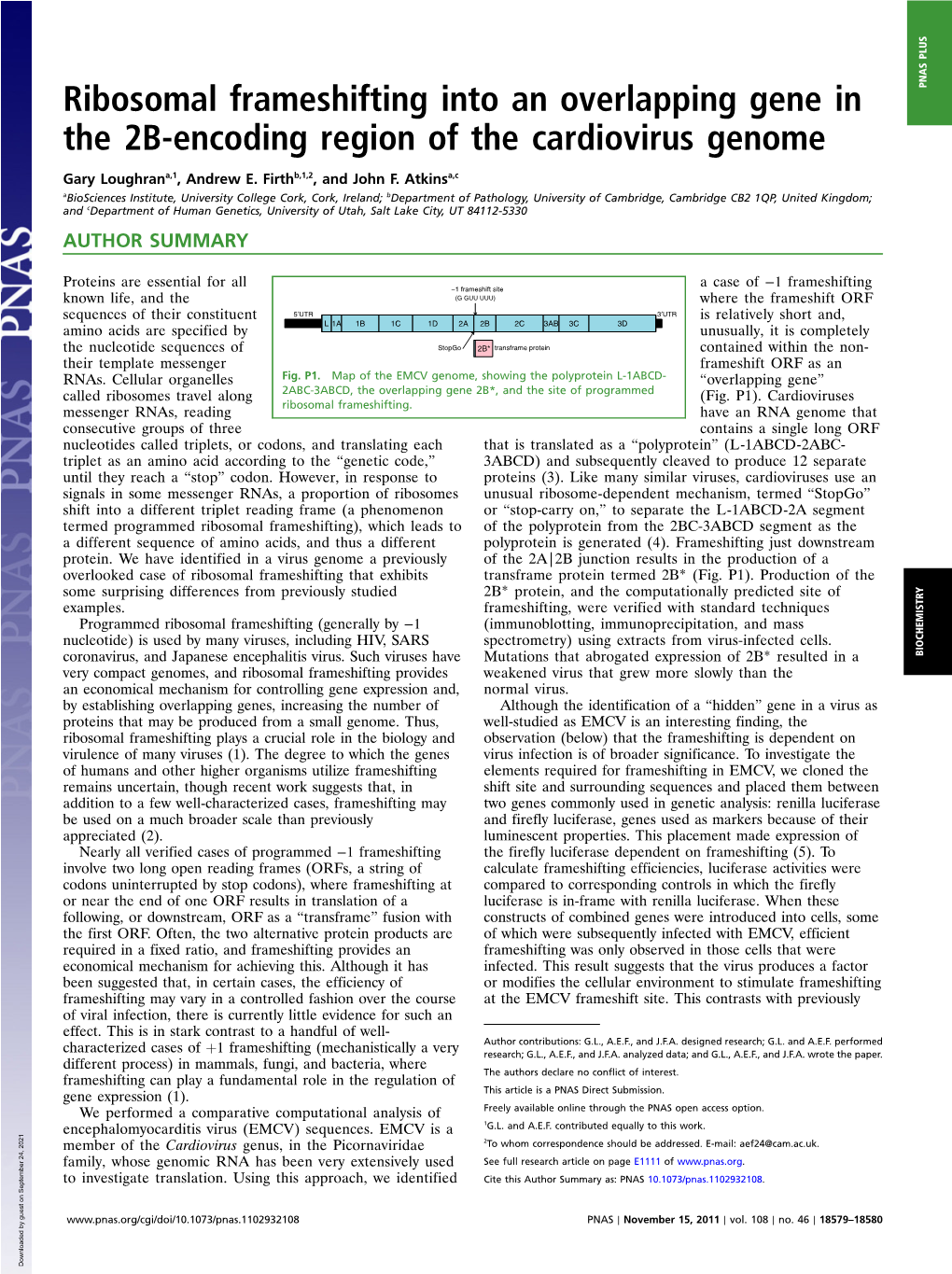 Ribosomal Frameshifting Into an Overlapping Gene in the 2B