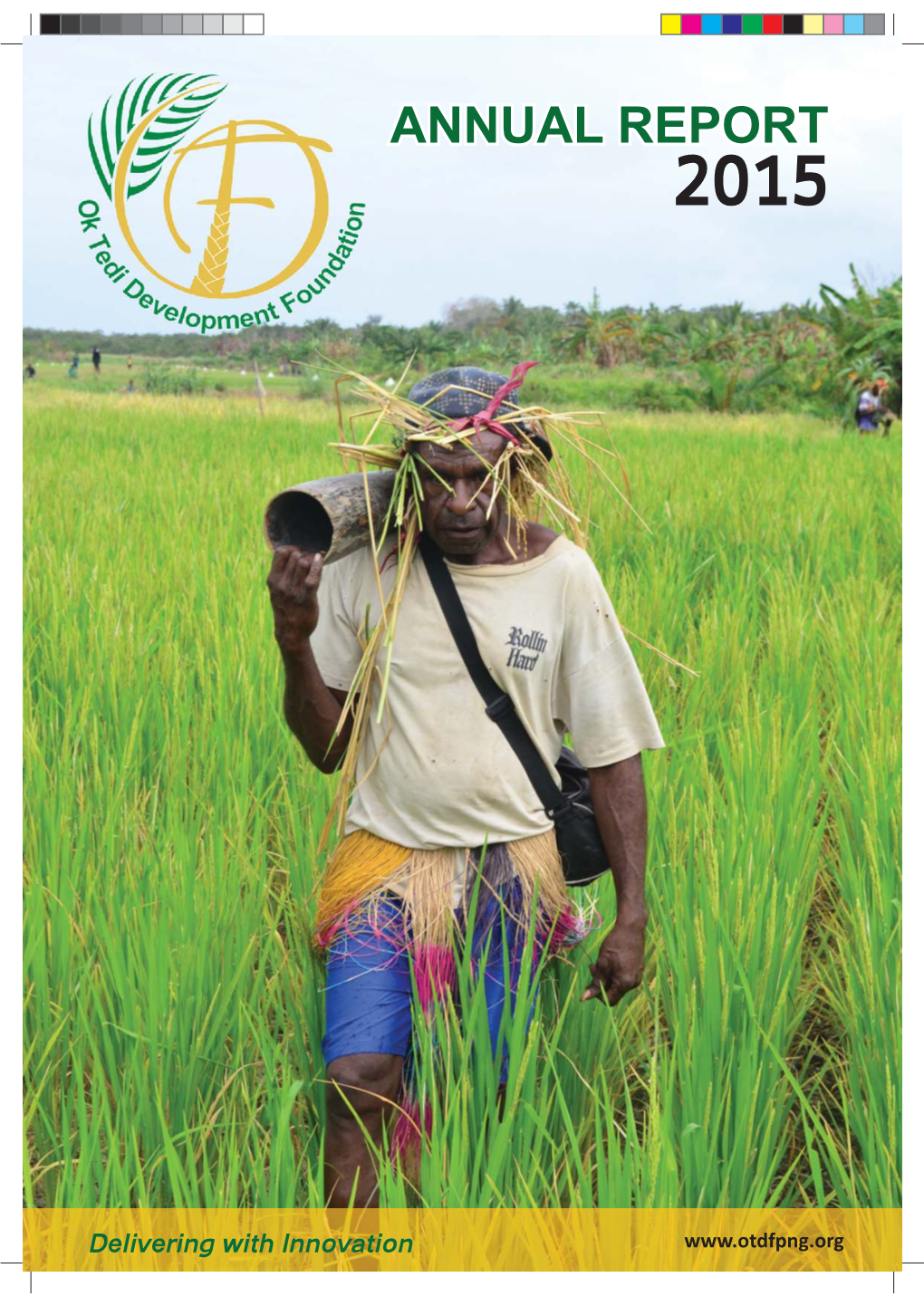 View Annual Report 2015