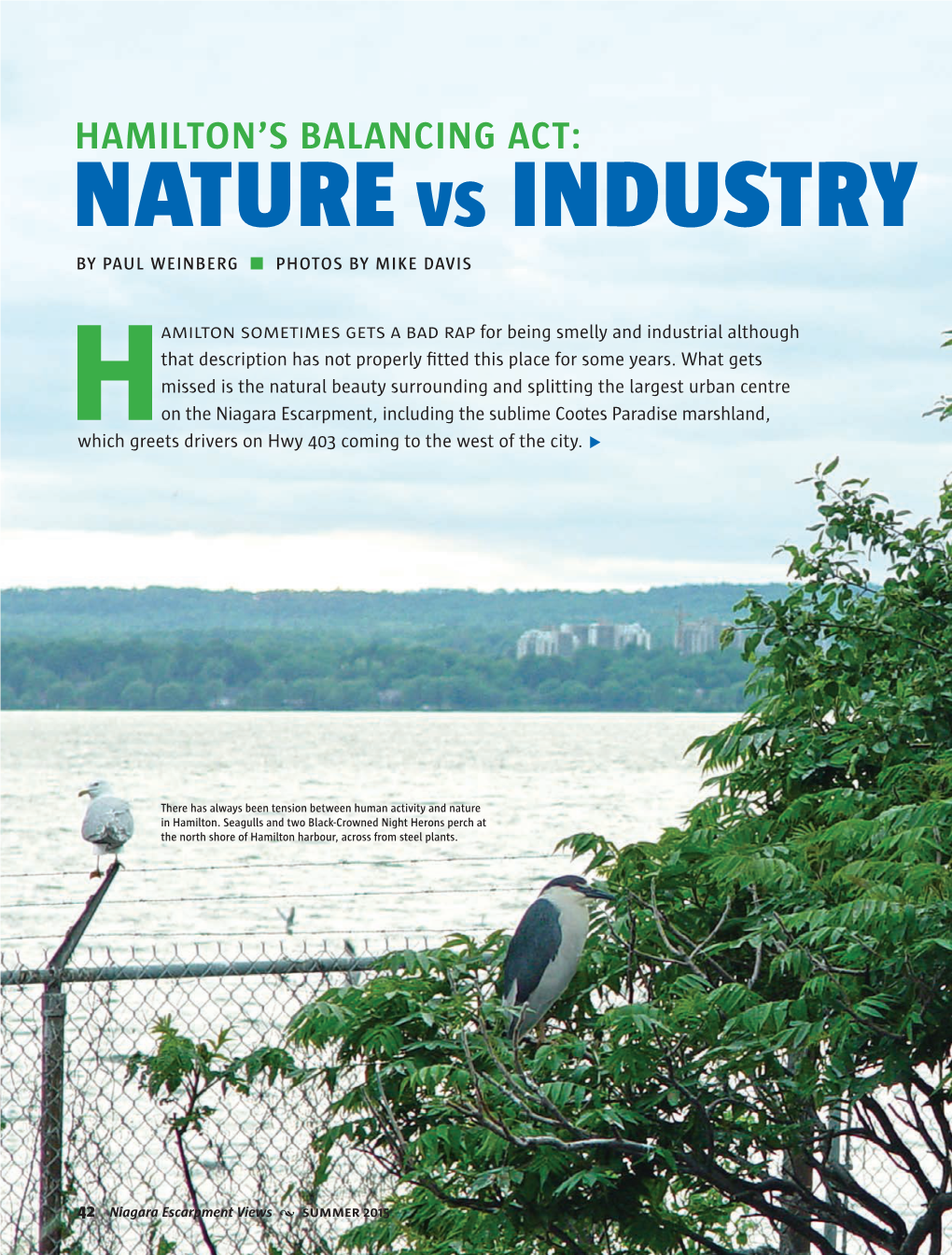 Hamilton's Balancing Act: Nature Vs. Industry Written by Paul Weinberg