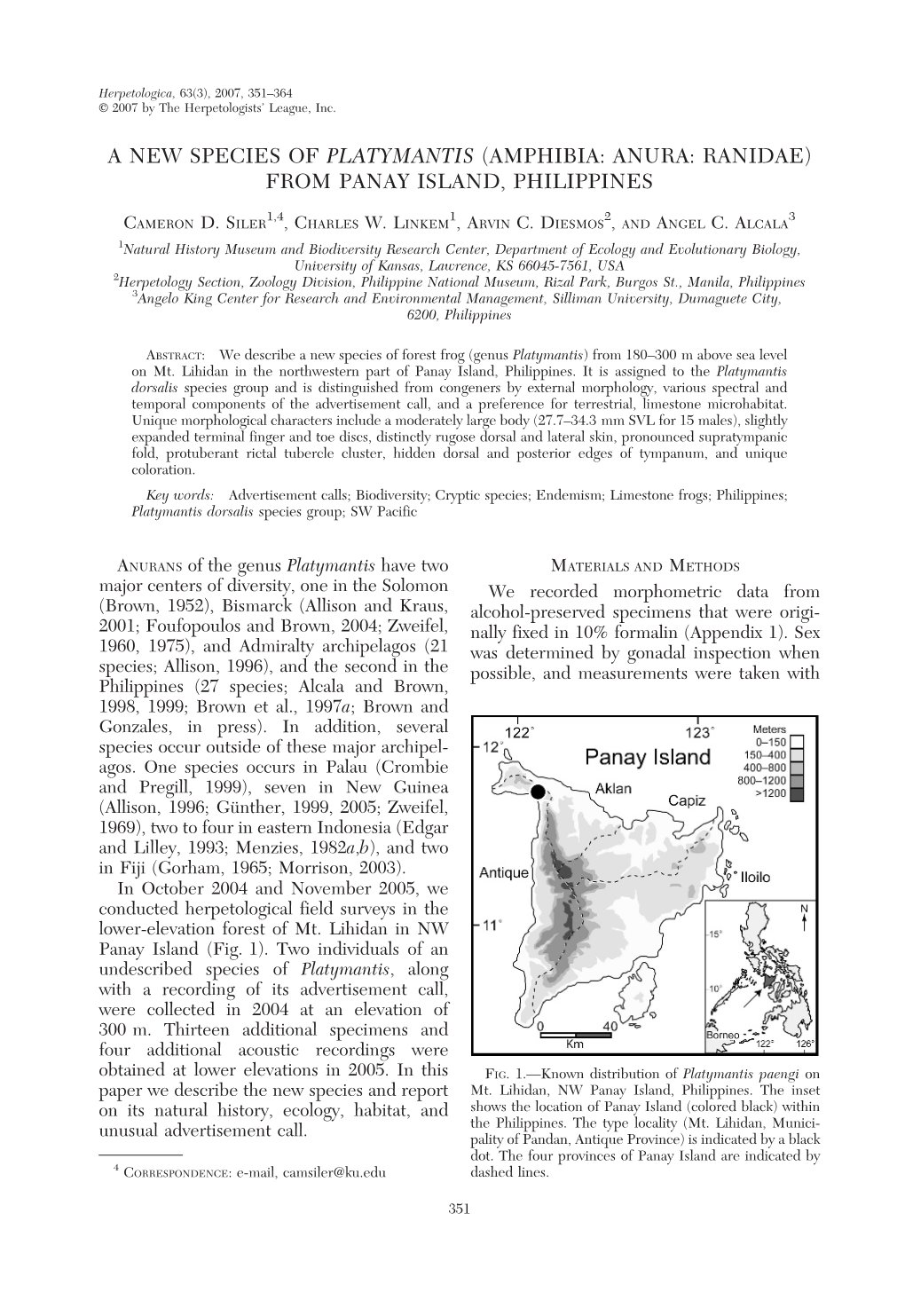 A New Species of Platymantis (Amphibia: Anura: Ranidae) from Panay Island, Philippines