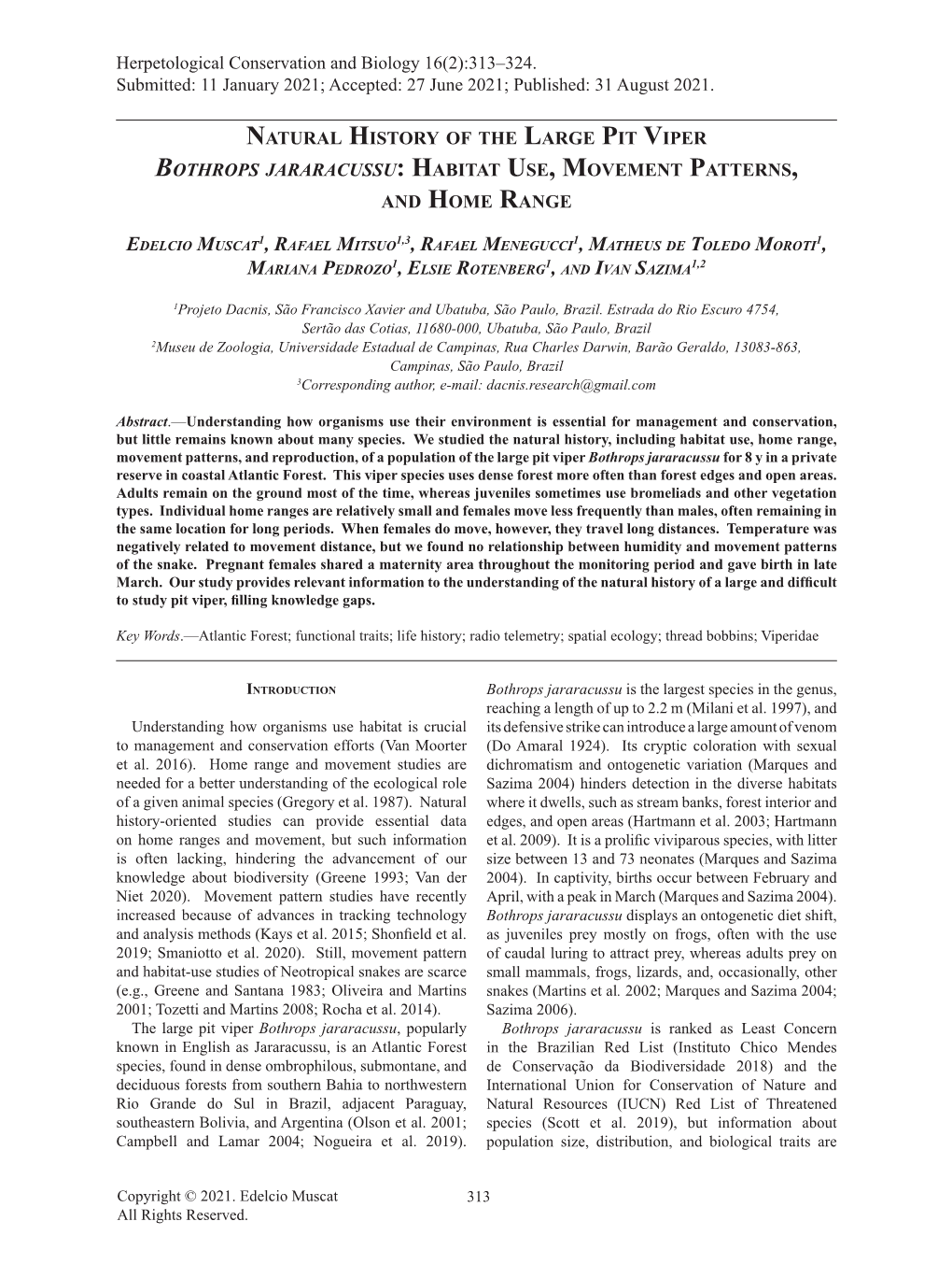 Natural History of the Large Pit Viper Bothrops Jararacussu: Habitat Use, Movement Patterns, and Home Range