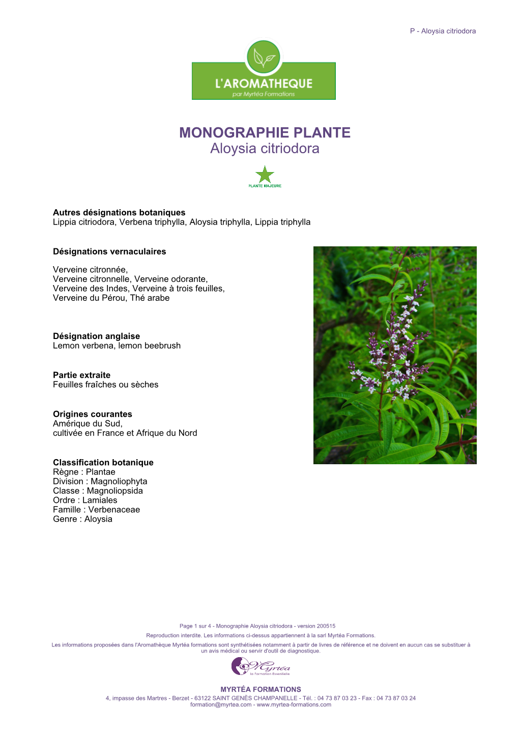 MONOGRAPHIE PLANTE Aloysia Citriodora