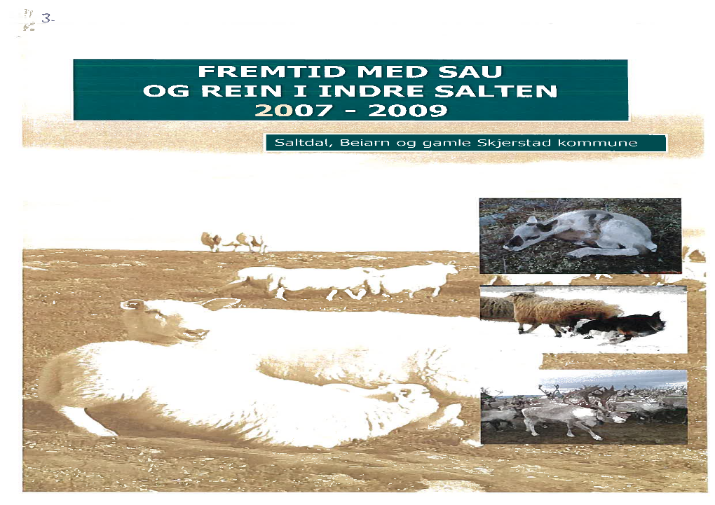Fremtid Med Sau Og Rein I Indre Salten 2007-2009
