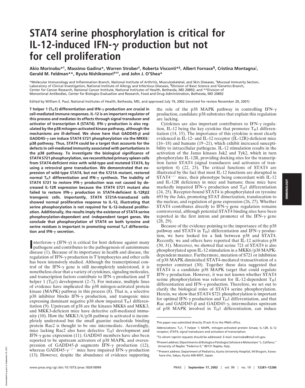 STAT4 Serine Phosphorylation Is Critical for IL-12-Induced IFN-␥ Production but Not for Cell Proliferation