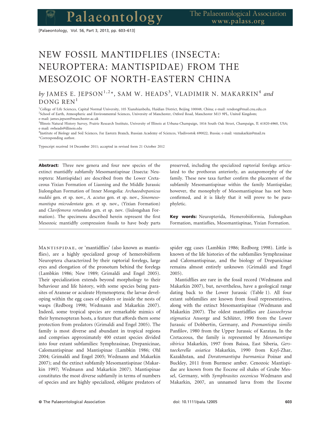 NEW FOSSIL MANTIDFLIES (INSECTA: NEUROPTERA: MANTISPIDAE) from the MESOZOIC of NORTH-EASTERN CHINA by JAMES E
