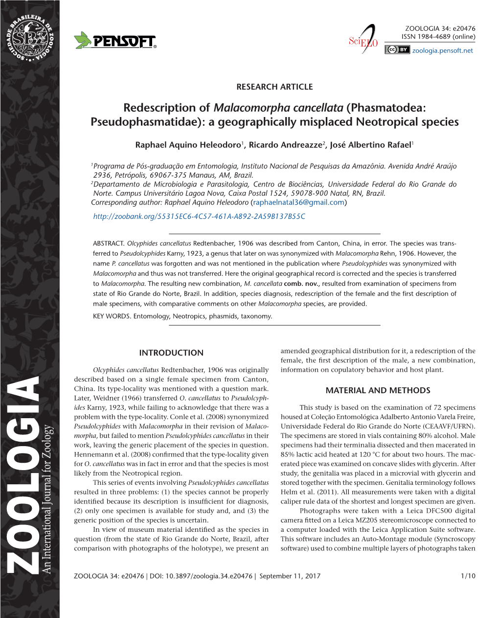 Redescription of Malacomorpha Cancellata (Phasmatodea: Pseudophasmatidae): a Geographically Misplaced Neotropical Species