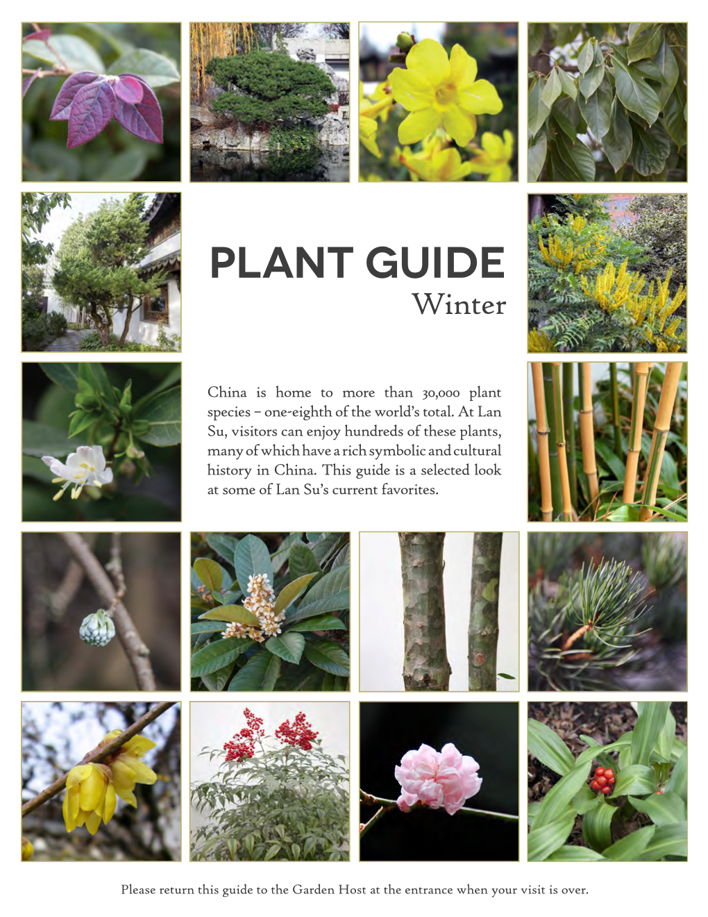 Plant Guide Winter