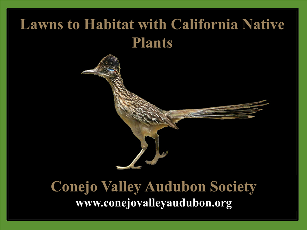 Lawns to Habitat with California Native Plants Conejo Valley Audubon Society