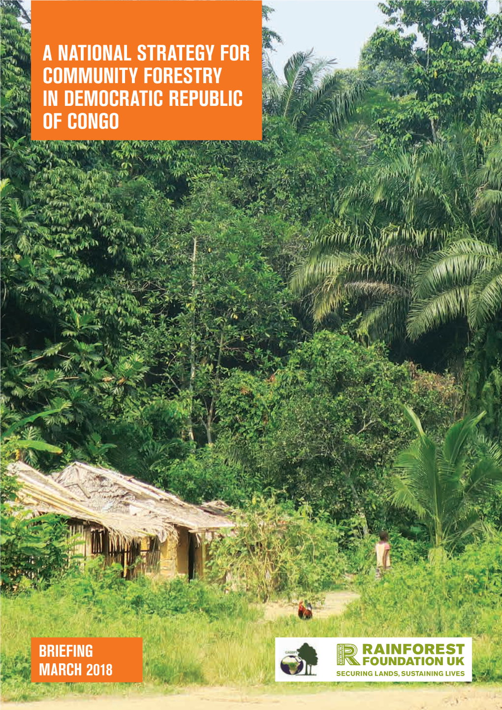 A National Strategy for Community Forestry in Democratic Republic of Congo