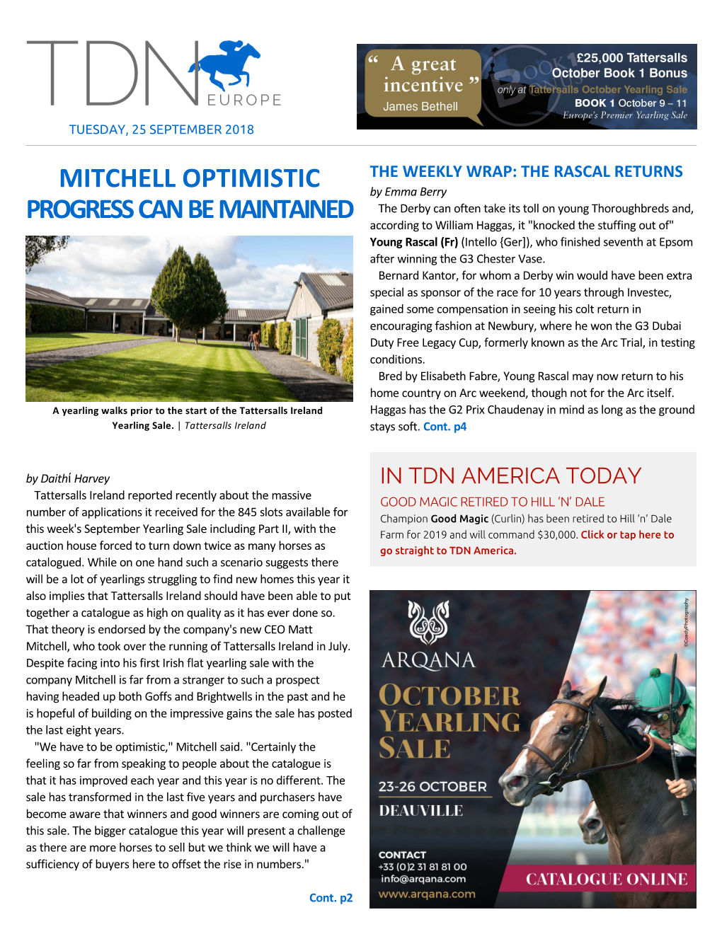 Mitchell Optimistic Progress Can Be Maintained