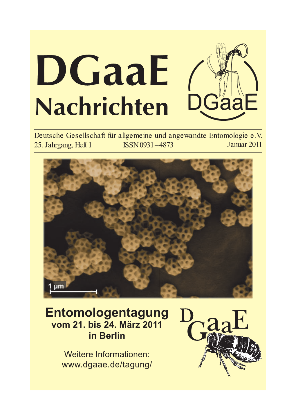 Dgaae Nachrichten