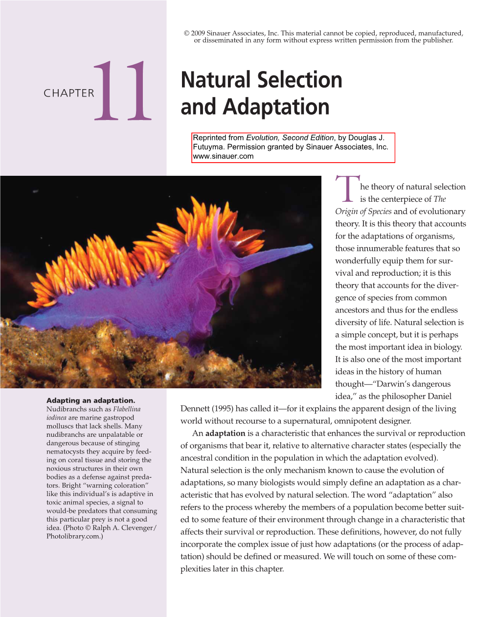 Natural Selection and Adaptation 281