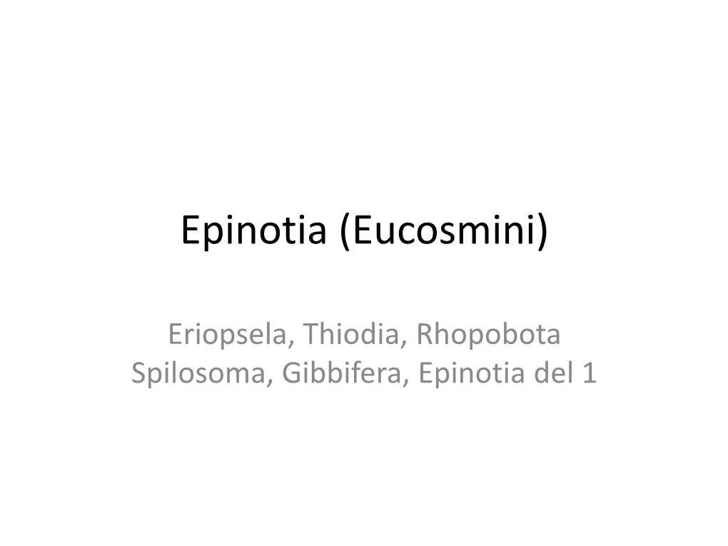 Epinotia (Eucosmini)