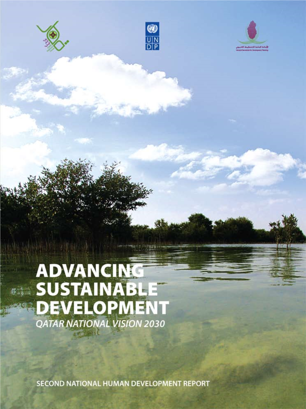 Qatar National Vision 2030 Advancing Sustainable Development Qatar's Second Human Development Report