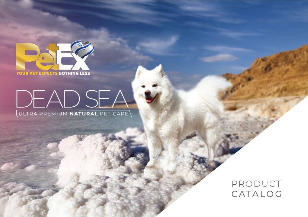 Dead Sea Catalog A5